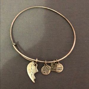 Alex and Ani charm bracelet